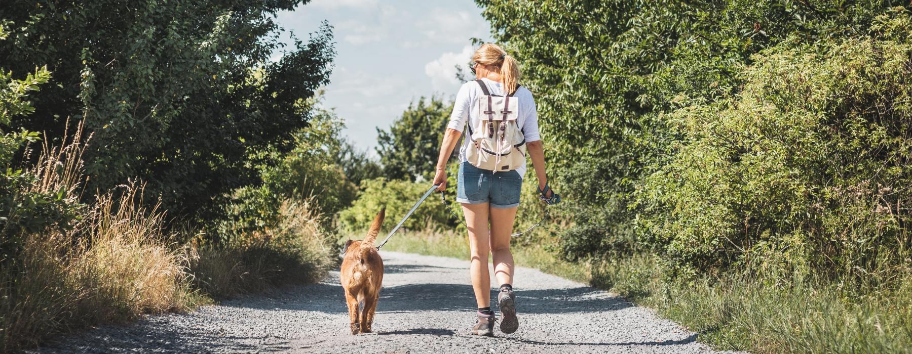 a woman walking a dog on a trail